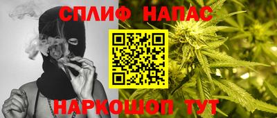 амф Гусев