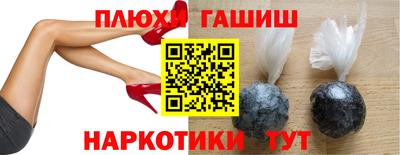 амф Гусев